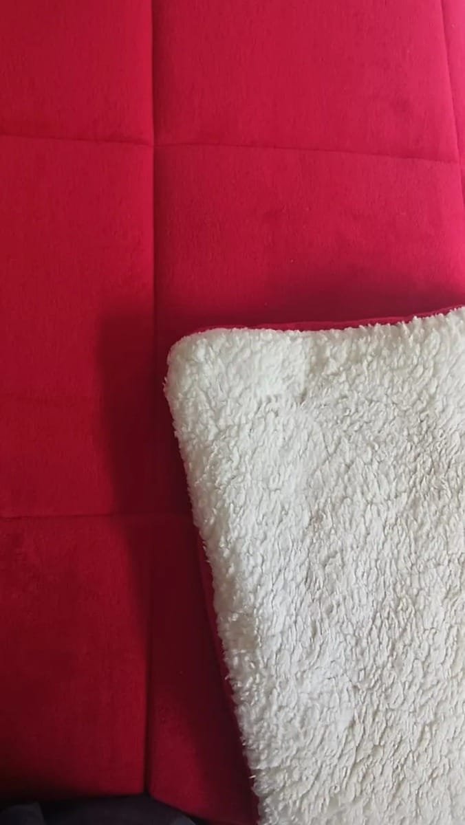 EDREDON OVEJERO ROJO